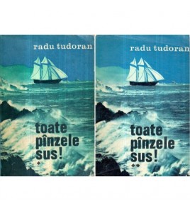 Radu Tudoran - Toate...