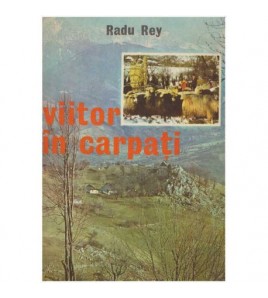 Radu Rey - Viitor in...