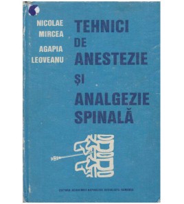 Nicolae Mircea, Agapia...