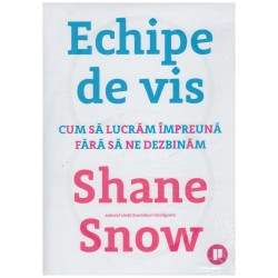 Shane Snow - Echipe de vis...