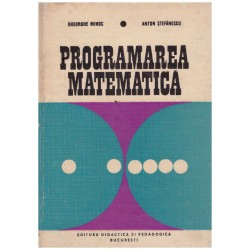 Programarea matematica