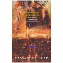 Cassandra Clare -...