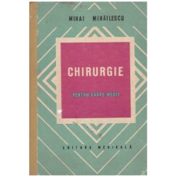 Mihai Mihailescu -...