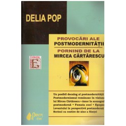 Delia Pop - Provocari ale...