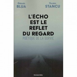 Valeriu Stancu, Gerard Blua...