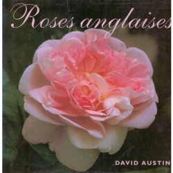 David Austin - Roses...