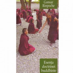Gonsar Rinpoche - Esenta...