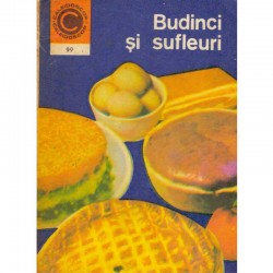 Elena Rusu - Budinci si...