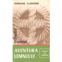 Mariana Flamand - Aventura...