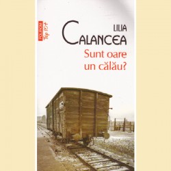 Lilia Calancea - Sunt oare...